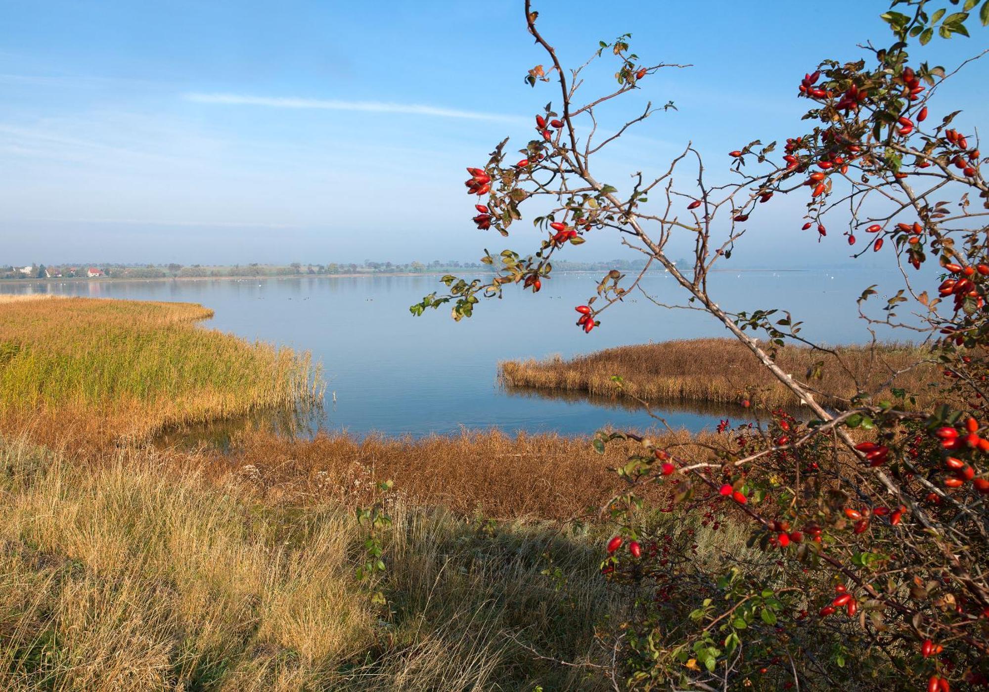 Daenische Ferienhaeuser Am Salzhaff Haus Vogelparadies Інзель-Пель Екстер'єр фото